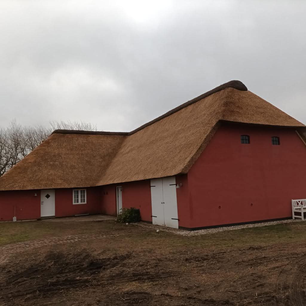 Thatch Roof Installation Project